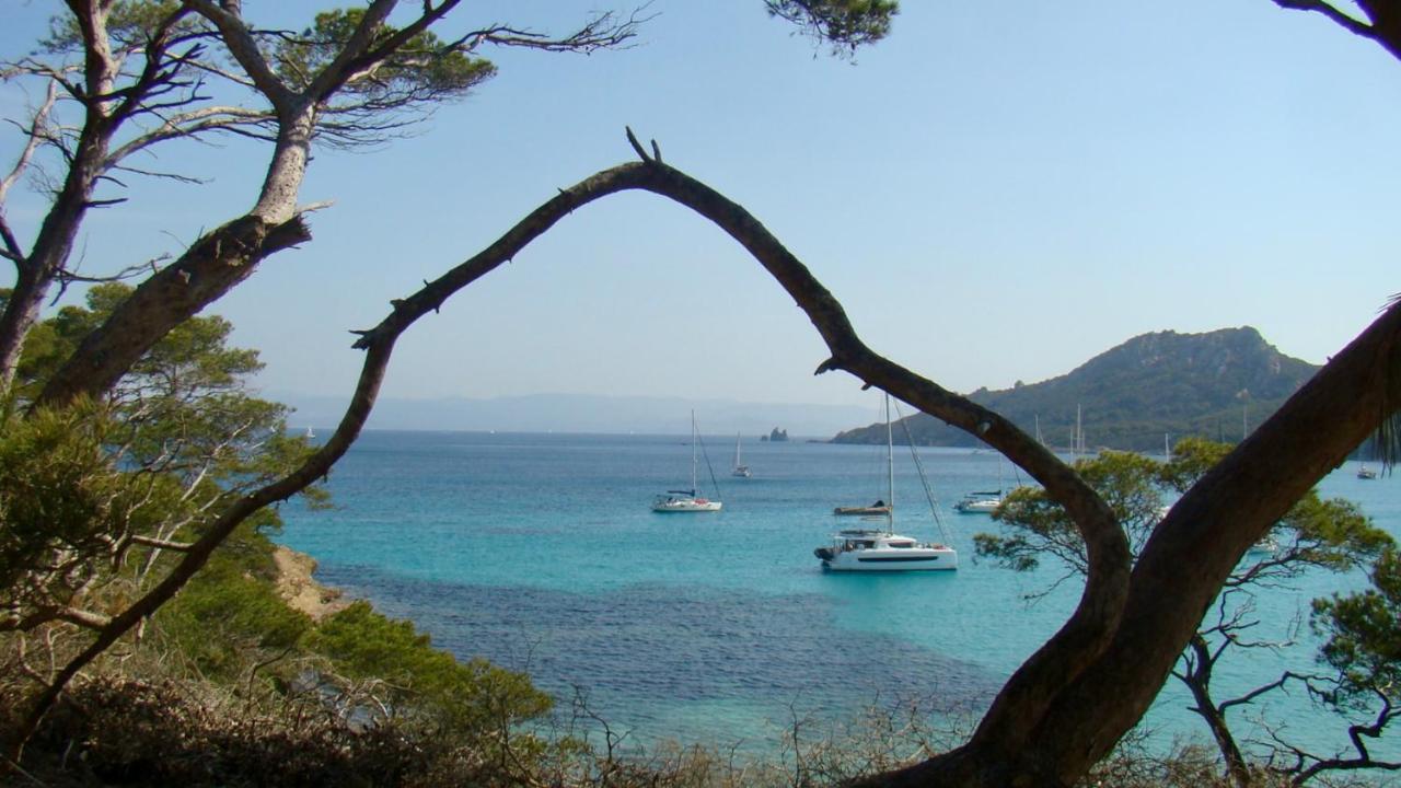 Grand Studio A Hyeres Entre Mer Et Ville Exteriér fotografie